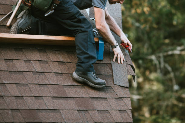 Best Roof Gutter Cleaning  in Callahan, FL